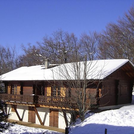 Appartement Chalet Renove 6 Pers Avec Terrasse Proche Evian, Ski Et Randonnee - Fr-1-498-29 Saint-Paul-en-Chablais Exterior photo